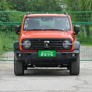 2023 urban version 2.0T is very stylish Tank300 Economical gasoline high speed 170km/h suv new car made in China