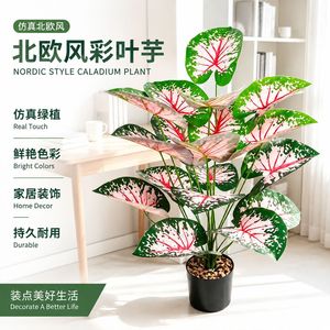 Planta artificial de caladium rosa, adorno decorativo para interiores y exteriores, planta en maceta, flor falsa, vegetación, estilo nórdico - Product Image 4
