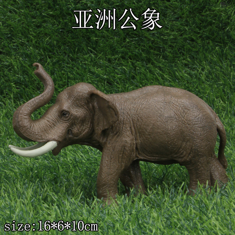 Elefante asiático macho