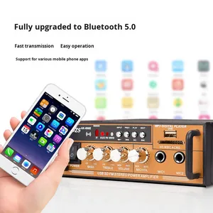 220V ハイパワー 2 チャンネル ミニ中国製 HiFi アンプ 家庭用ロスレス 12V カード読み取り USB フラッシュドライブ ラジオスピーカー - Product Image 2