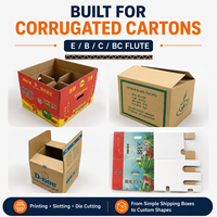 Machine de fabrication de boîtes en carton avec impression flexo multicolore, rainurage, découpe, alimentation par bord non écrasable et réglage en un clic