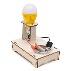 Kit d'expérimentation physique de lampe à énergie salée DIY, batterie au sel, jouets en bois, éducation précoce Montessori - Product Image 1