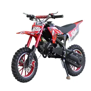 Kids 49cc Dirt Bike 2-Stroke Off-Road Motorcycles For Girls And Boys Pocket Bike With Manual Ignition And Disc Brake