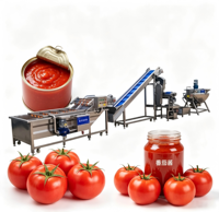 Industriële productielijn voor automatische tomatenpuree
