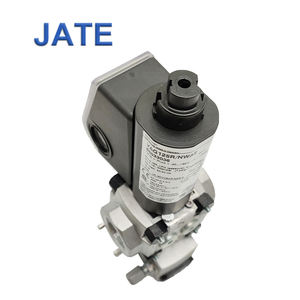 Kromsch roder VAG120R/NWAE Gas magnetventil für die industrielle Verbrennung - Product Image 6