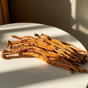 Корень Angelica Sinensis, корень Angelica Sinensis Ligustilide Dang Gui/Dong Quai/Radix Angelica Sinensis, порошок экстракта - Product Image 4