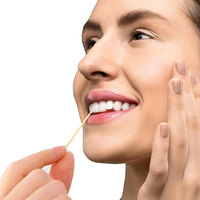 Cure-dents en bambou à Double pointe de haute qualité avec porte-cure-dents vert réutilisable 65mm choix de fruits choix alimentaires pour le nettoyage des dents