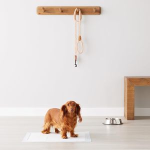 Tapis absorbant jetable pour chiens et chats, best-seller, fournitures pour animaux de compagnie, conception à séchage rapide, pour l'apprentissage de la propreté des chiens - Product Image 3