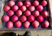 Fruits frais de qualité supérieure et à prix abordable, pommes rouges Fuji de l'usine chinoise