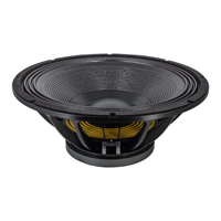 Caisson de basses actif professionnel de 21 pouces, 2500 W, double araignée, bobine vocale de 5 pouces, pour utilisation sur scène en extérieur, caisson de basses 21TBW-125