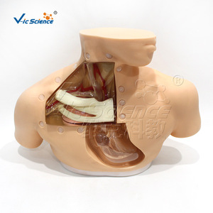 Modèle de soins de nutrition parentérale avancé VIC-H72 - Product Image 2