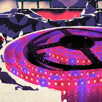 Lampu Tanam LED Strip 5050 SMD IP65/20 Tahan Air Spektrum Penuh Tembaga 10W untuk Tanaman Indoor, Rumah Kaca, Akuarium, Bunga, dan Sayuran