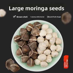 <span class=keywords><strong>Graines</strong></span> <span class=keywords><strong>de</strong></span> <span class=keywords><strong>Moringa</strong></span> Oleifera Biologiques Sèches <span class=keywords><strong>de</strong></span> Haute Qualité, 100% Naturelles, Riche en Huile, Disponibles en Vrac et en Gros - Product Image 1