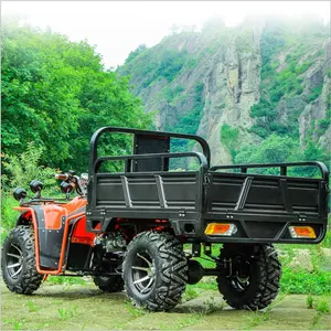 Kendaraan Pertanian UTV ATV 4X4 ATV 250cc Murah Kualitas Bagus dengan EEC
