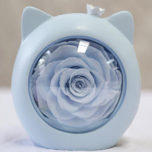 Guirlande lumineuse étoile hello kitty, petite fleur éternelle, pour cadeau de noël, <span class=keywords><strong>boutique</strong></span>, cadeau idéal - Product Image 3