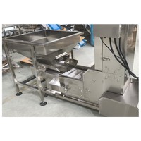 Neuer Z-Eimerförderer aus Edelstahl, Fördermaschine mit 2,5 m/h Kapazität, einstellbarer Geschwindigkeit, für Lebensmittelverpackungslinien, 3100 mm Auswurf