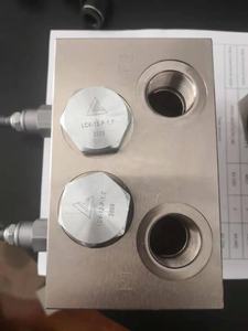 Collecteur de soupapes de décharge hydraulique pour grue hydraulique pliable - Product Image 3