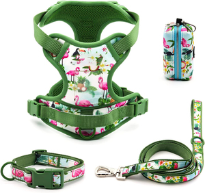 Conjunto de Collar, Correa y Arnés Ajustable para Perro, Diseño Lindo, Venta al por Mayor de Fábrica, Collar Resistente para Cachorros - Product Image 1