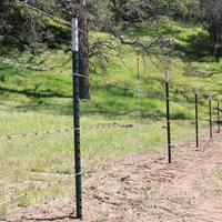 Poste de cercado en T de acero negro barato, poste de cerca en T para aves de corral