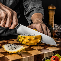Professionnel 6.9 "pouces allemand de qualité supérieure DIN1.4116 couteau de chef Santoku de cuisine en acier inoxydable à haute teneur en carbone avec manche en bois Pakka