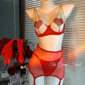 Ensemble de lingerie rouge sexy deux pièces, lingerie érotique ajourée, push-up, dentelle européenne et américaine, vente en gros, lingerie grande taille pour femmes - Product Image 2