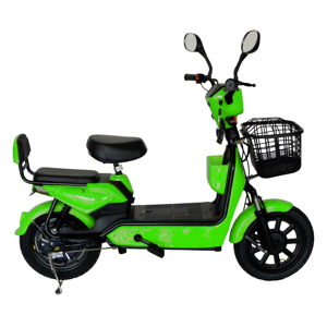 Motocicleta Eléctrica Ligera de 350W con Asistencia al Pedaleo, Batería Extraíble de 48V15Ah, Neumático de Vacío de 16*2.5, Dos Asientos con Cesta Delantera - Product Image 5