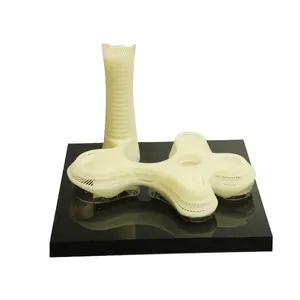 China Print Company Supplier Eco-Friendly Degradable material 3d Printing Service