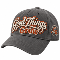 Casquettes de baseball unisexes en sergé de coton à 6 panneaux, logo brodé personnalisé, visière incurvée bicolore, commande en gros