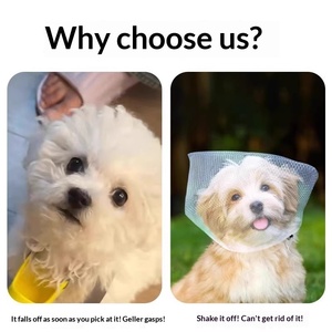 Maschera per cani da esterno anti-morso e anti-leccamento in rete per tutte le stagioni - Product Image 4