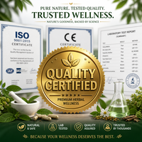 Patchs amincissants pour le ventre et la taille Herbal Zexie Baishao OEM, 12 pièces/boîte, autocollants amincissants, vente en gros, prix direct usine