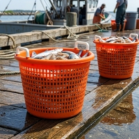 Panier de rangement en PE grand format, écologique, couleur personnalisable, marque LK, utilisations multiples : pour la pêche au crevettes, le stockage de liquides, les fruits et légumes