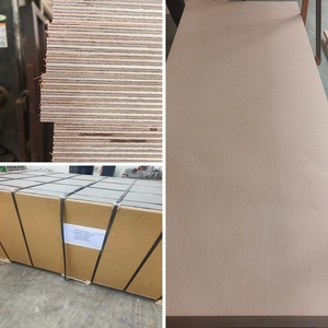 Lámina de Contrachapado de <span class=keywords><strong>Abedul</strong></span>, Grado Mueble, Impermeable E0, 4x8, 1220x2440mm, Panel Interior para Armarios y Gabinetes, FANGSI - Product Image 2