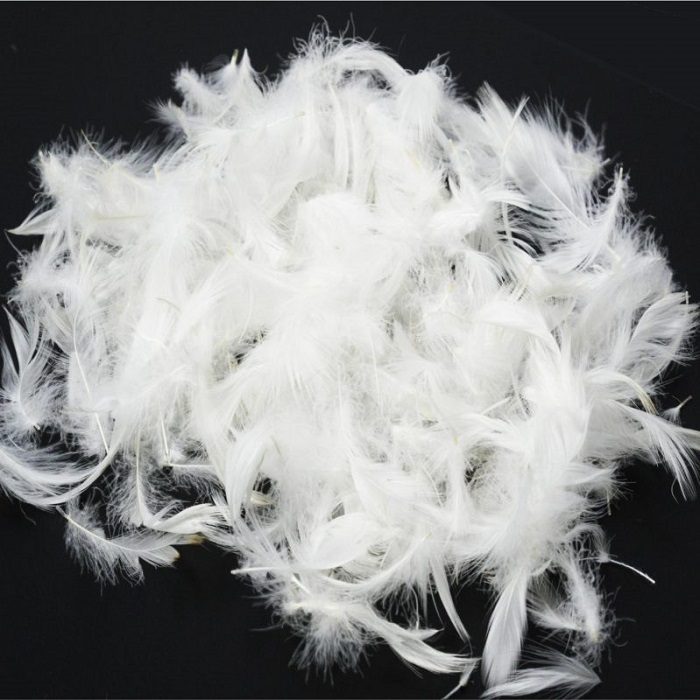 Vietnam Natural 2-4 cm Washed White Duck Down Feather for Pillows 