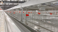 Nouveau système de cages en batterie entièrement automatique en acier de type H pour l'élevage avicole de poules pondeuses, pour une production efficace à grande échelle