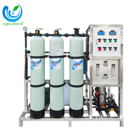 Équipement de traitement de l'eau pour petites usines, eau souterraine, eau de puits, osmose inverse, filtre RO, pompe PLC, production d'eau minérale, 1 an
