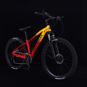2025 29 pouces adulte hydraulique VTT usine en gros en alliage d'aluminium 10 vitesses vtt vélo - Product Image 1