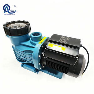 Pompe à eau en métal AKP de haute qualité pour spas et piscines gonflables, filtration efficace, adaptée à différents types de piscines - Product Image 2