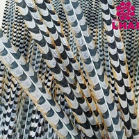 Plumes de Faisan Reeves en Gros de l'Usine, Plumes de Queue de Faisan pour Costumes de Carnaval, Spectacles de Danse et Scène