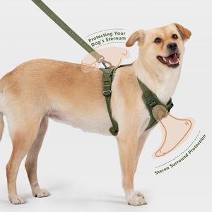 Arnés para Perro Sunraymascota Fabricante del Reino Unido Nuevo Producto 2025 Premium Personalizado de Lujo Táctico Antitirones - Product Image 5