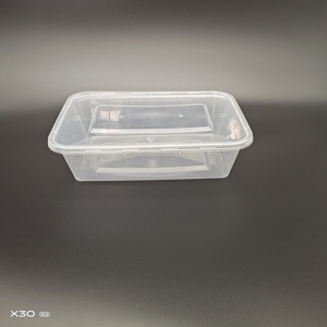 disposable food container plastic