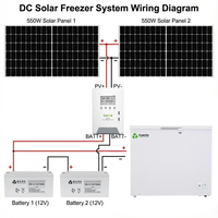 Réfrigérateur solaire DC 139L 12V 24V vertical avec congélateur inférieur pour caravane et camping-car