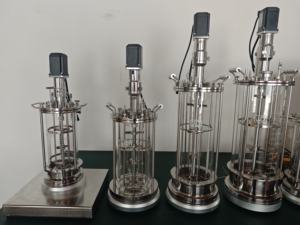 बायोरिएक्‍टर 5 एल फिक्स्ड बेड बायोरिएक्‍टर यू 2024 - Product Image 6