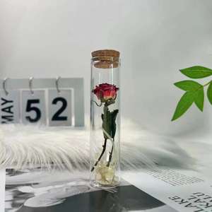 Tube à essai de roses séchées bouquet de fleurs séchées en verre petits ornements spécimen de plante diy pour le cadeau de la fête des enseignants - Product Image 2