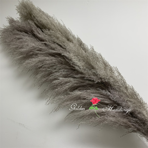 QSLH-567 Bulk Sales Natural <strong>Drying</strong> Pampas Grass Centerpieces Beige Dry Flower <strong>Bouquet</strong> Reed Grey Large Fluffy Plume Pampas Grass - Product Image 5