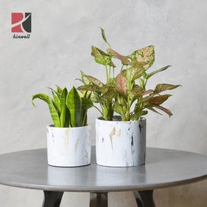 Commercio all'ingrosso <span class=keywords><strong>Vasi</strong></span> di Fornitori di 5 pollici Oro Marmo <span class=keywords><strong>Cemento</strong></span> Coperta di <span class=keywords><strong>Cemento</strong></span> di Fiori Fioriera Vaso di Giardinaggio <span class=keywords><strong>per</strong></span> Pianta - Product Image 2