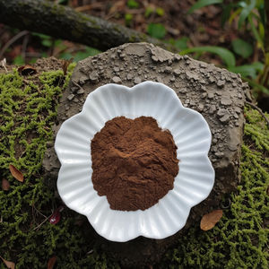 Doğal Organik Kök Ekstresi Tozu Erkekler İçin Bitkisel Ekstrakt Plastik Kap ve Kutuda - Product Image 3