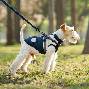 Winter Vest for <b>Large</b> <b>Dogs</b>: Chest Back Design, Adjustable Strap, Warm Outdoor Wear, OEM Customization Available for Pet Owners - Product Image 5