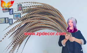 Nhà Máy Bán Buôn Từ Zpdecor 150-160 Cm Siêu Dài Tự Nhiên Reeves Gà lôi Đuôi Lông Cho Lễ Hội Trang Phục - Product Image 2