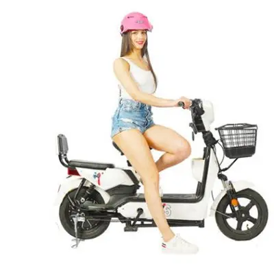2021 2020 Hot Sale Other Ebicycle Electric E Dirt Bikes Bicycle For Men In Uk European Warehouse And Peru Chile Usa Canada