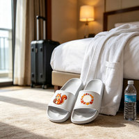 Ciabatte Personalizzate da Donna, Antiscivolo e Resistenti, per Bagno, Spiaggia, Resort e Uso Quotidiano, per Acquirenti all'Ingrosso